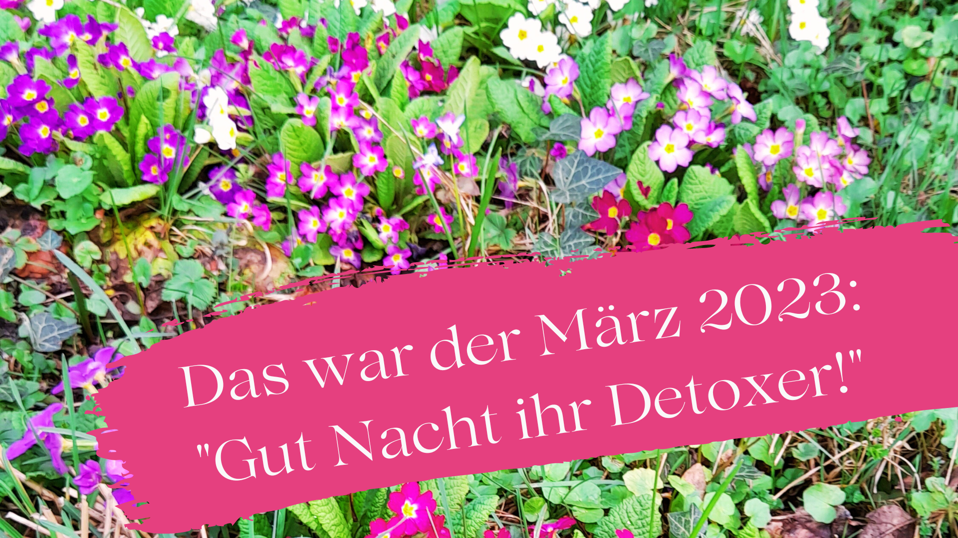 Fasten mit Ayurveda, Detox mit Ayurveda