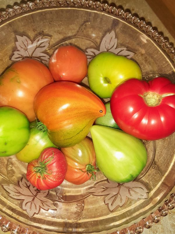 Tomaten