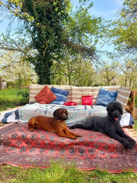 Ferri und Bella genießen die Garten Lounge